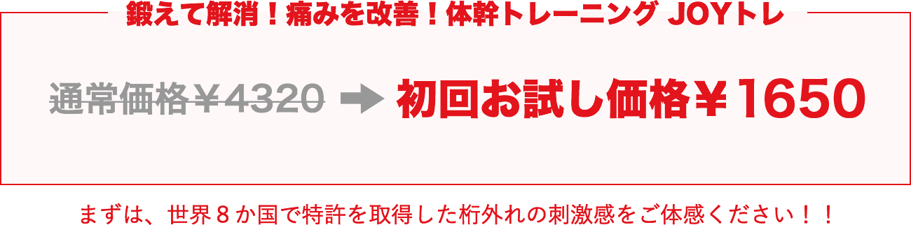 初回お試し価格￥1620